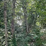 Ferienhaus A Prosecco - Triest