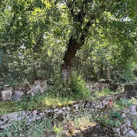 A Prosecco - Trieste