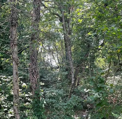 Holiday home A Prosecco - Trieste