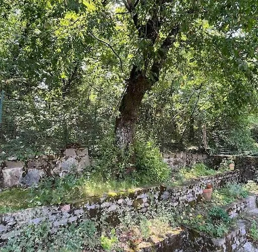 A Prosecco - Trieste